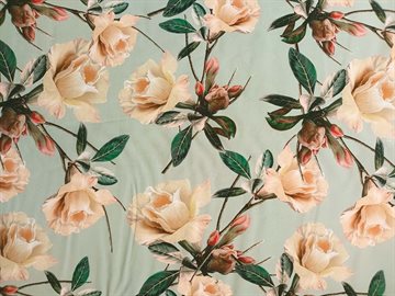 Tenclin Camellia